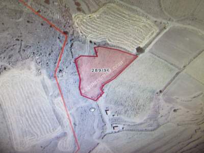 Kayseri Bahçebaşı Mahallesi Satılık Tarla 4