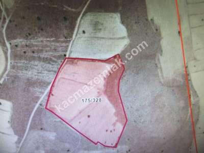 Develi Çomaklı Mah. Tarla 2