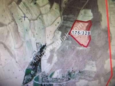 Develi Çomaklı Mah. Tarla 1