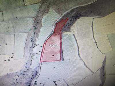 Develi Çomaklı Avunduk Mevki 2