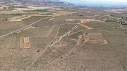 Develi Çomalı Mah Satlık Tarla 9