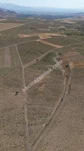 Develi Çomalı Mah Satlık Tarla 13