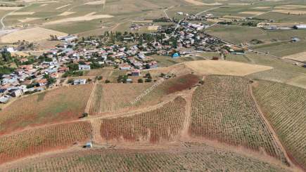 Develi Çomalı Mah Satlık Tarla 11