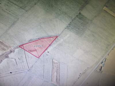 Develi Çomalı Mah Satlık Tarla 3