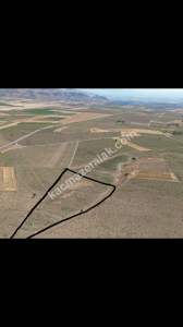 Develi Çomalı Mah Satlık Tarla 6