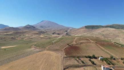 Develi Çomalı Mah Satlık Tarla 10