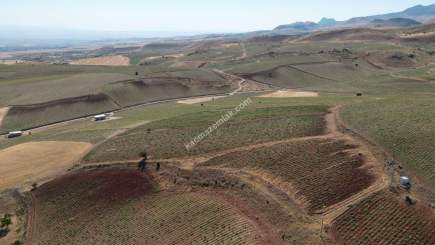 Develi Çomalı Mah Satlık Tarla 7