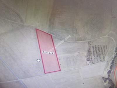 Kayseri Develi Çomaklı Mah Satlık Tarla 1