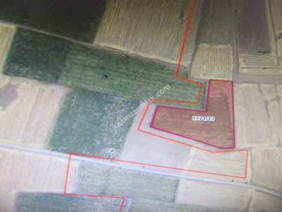 Kayseri Develi Çöten Mahalesinde Satlık Tarla 6