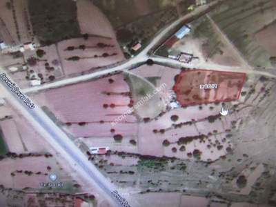 Develi Fenese Yukarı Tarla 1