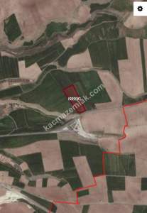 Develi Feneseyukarı Mah. Tarla 4