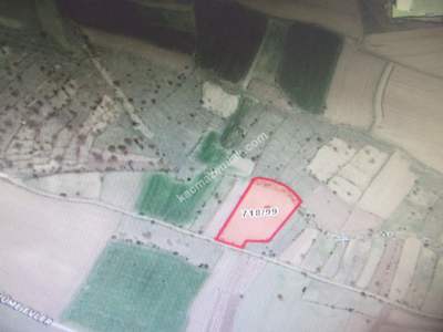 Kayseri Develi Feneseyukarı Mah Satlık Tarla 6