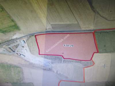 Kayseri Develi Feneseyukarı Mah Satılık Tarla 1