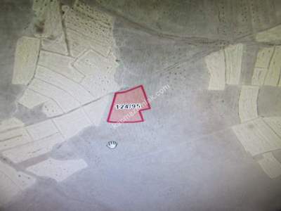 Develi Gümüşören Mah Satlık Tarla 2