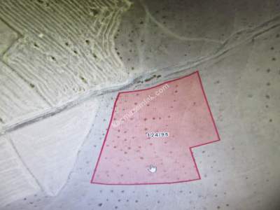 Develi Gümüşören Mah Satlık Tarla 1