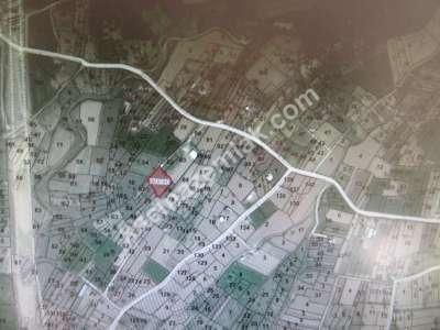 Develi Güneyaşagı Mah 1900 Metre 6