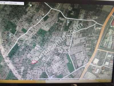 Develi Güneyaşagı Mah M2 1613 Bahçe 6