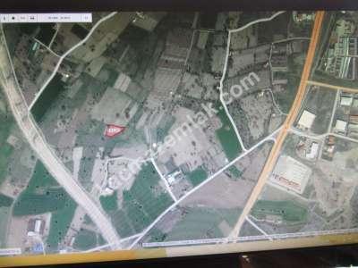 Develi Güneyaşagı Mah M2 1613 Bahçe 2