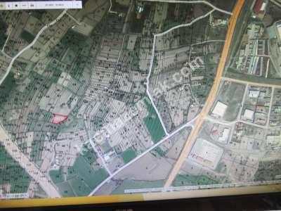 Develi Güneyaşagı Mah M2 1613 Bahçe 4