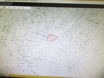 Develi Güneyaşagı Mah M2 1613 Bahçe 7