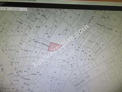 Develi Güneyaşagı Mah M2 1613 Bahçe 8