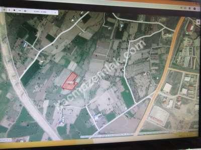 Develi Güneyaşagı Mah Sarayhalı Karşısı M2 6,310 Tarla 4