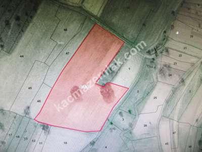 Develi Güneyaşagı Mah Sarayhalı Karşısı M2 6,310 Tarla 3