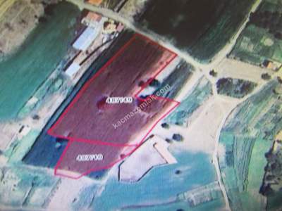 Develi Güneyaşagı Mah Sarayhalı Karşısı M2 6,310 Tarla 1