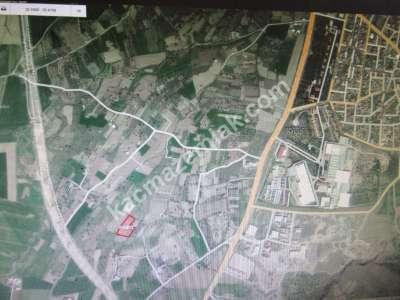 Develi Güneyaşagı Mah Sarayhalı Karşısı M2 6,310 Tarla 7