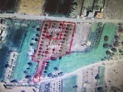 Develi Güneyaşagı Mah Satlık Tarla 1