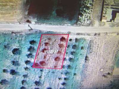 Develi Güneyaşagı Mah Satlık Tarla 5