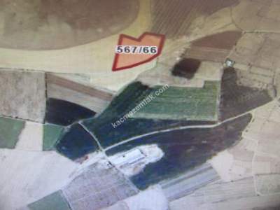 Develi Reşadiye Mah Satlık Tarla 3