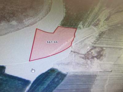 Develi Reşadiye Mah Satlık Tarla 1