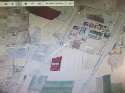 Kayseri Develi Reşadiye Mah Satlık Tarla 4