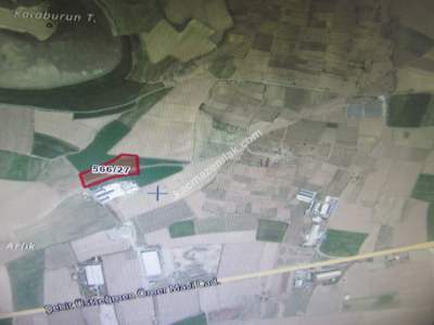 Kayseri Develi Reşadiye Mah Satlık Tarla 3