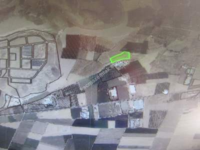 Kayseri Develi Reşadiye Mah Satlık Tarla 2