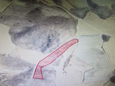 Kayseri Develi Reşadiye Mah Satlık Tarla 1