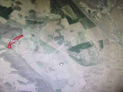 Kayseri Develi Reşadiye Mah Satlık Tarla 5