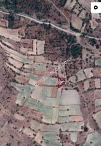 Develi Sarıca Mah. Tarla 2