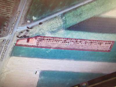 Develi Tonbak Mah Satlık Tarla 1