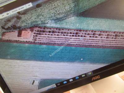 Develi Tonbak Mah Satlık Tarla 2