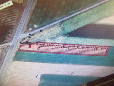 Develi Tonbak Mah Satlık Tarla 3