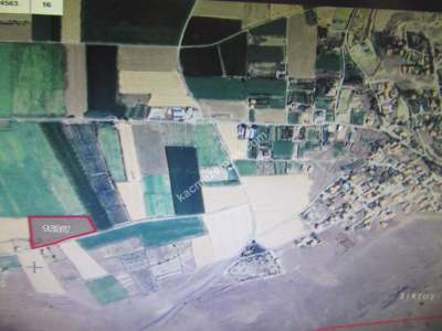 Kayseri Develi Tonbak Köy Satlık Tarla 2