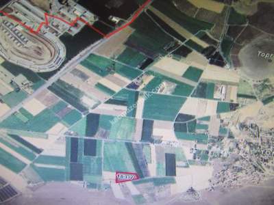 Kayseri Develi Tonbak Köy Satlık Tarla 3