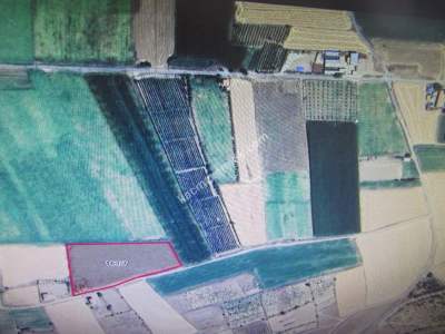 Kayseri Develi Tonbak Köy Satlık Tarla 5