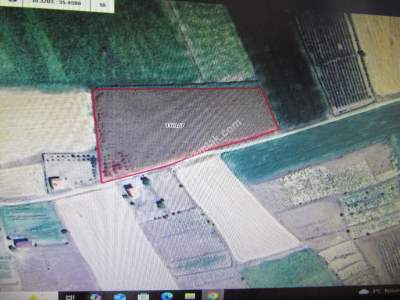 Kayseri Develi Tonbak Köy Satlık Tarla 1