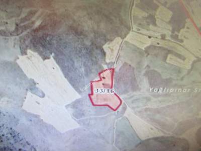 Kayseri Develi Yedek Mahallesi Satlık Tarla 4