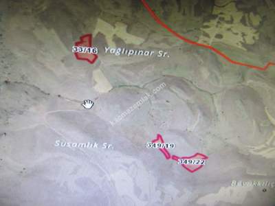 Kayseri Develi Yedek Mahallesi Satlık Tarla 6