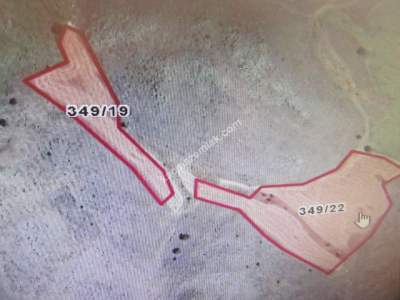 Kayseri Develi Yedek Mahallesi Satlık Tarla 2