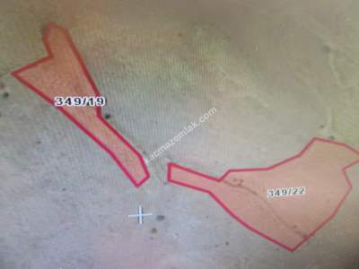 Kayseri Develi Yedek Mahallesi Satlık Tarla 1